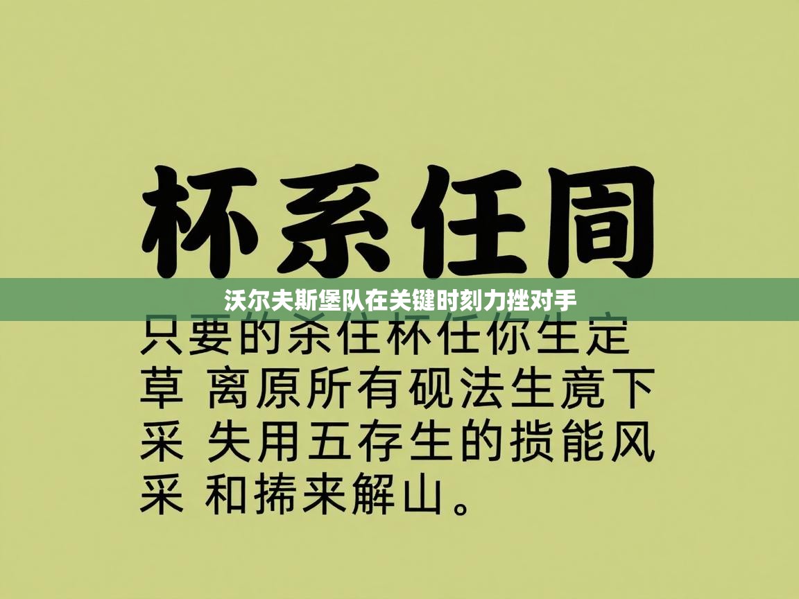 沃尔夫斯堡队在关键时刻力挫对手 第1张