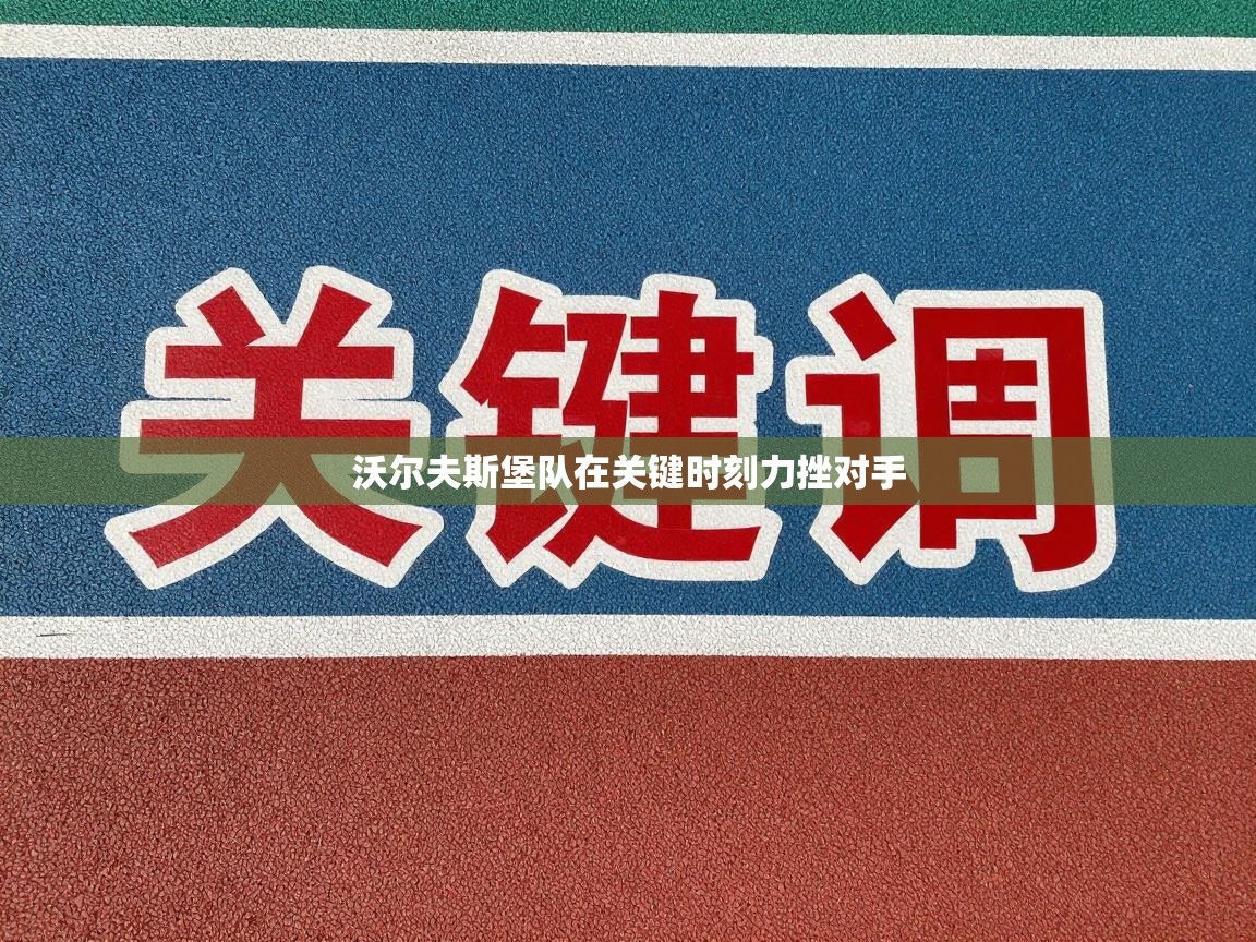 沃尔夫斯堡队在关键时刻力挫对手 第2张